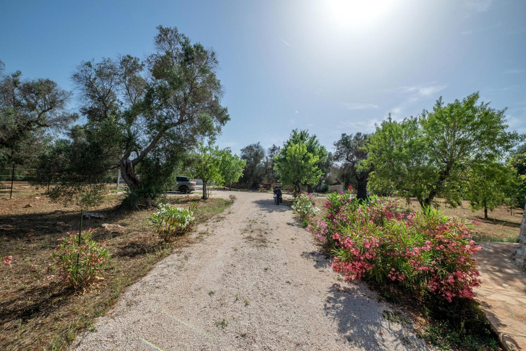 Il Trullo Di Mariangela Villa Ceglie Messapica Exterior photo